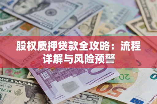 北京股权质押贷款全攻略：流程详解与风险预警