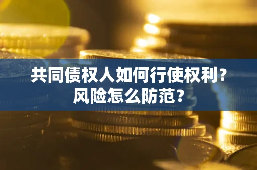 北京共同债权人如何行使权利？风险怎么防范？