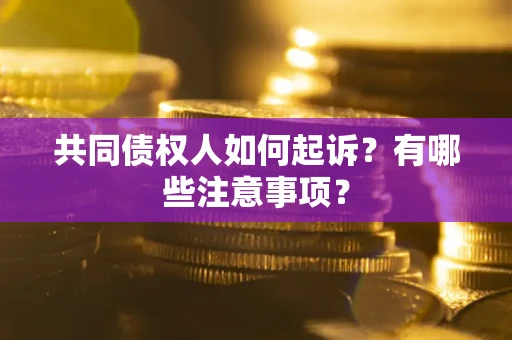 北京共同债权人如何起诉？有哪些注意事项？